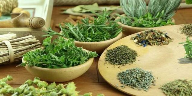 nelk parasiitide vastu kehas